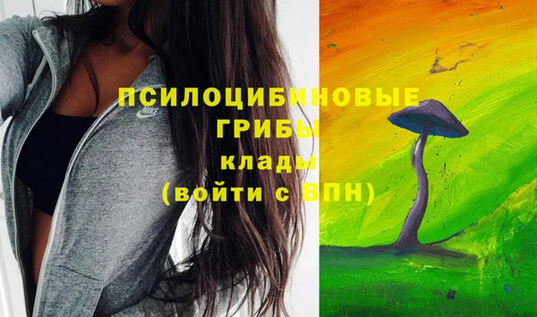 прущий лед Белокуриха